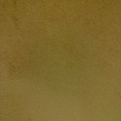 yamasan3952's profile picture. 