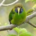 Rosie Filipiak (@rosie_birds1) Twitter profile photo Rosie Filipiak (@rosie_birds1) Twitter profile photo