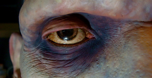 KAIBUTSUYA's profile picture. ぼく、50歳超えた・・・
最近、神に出逢って寿命を延ばされた