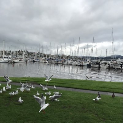 qa_th's profile picture. 