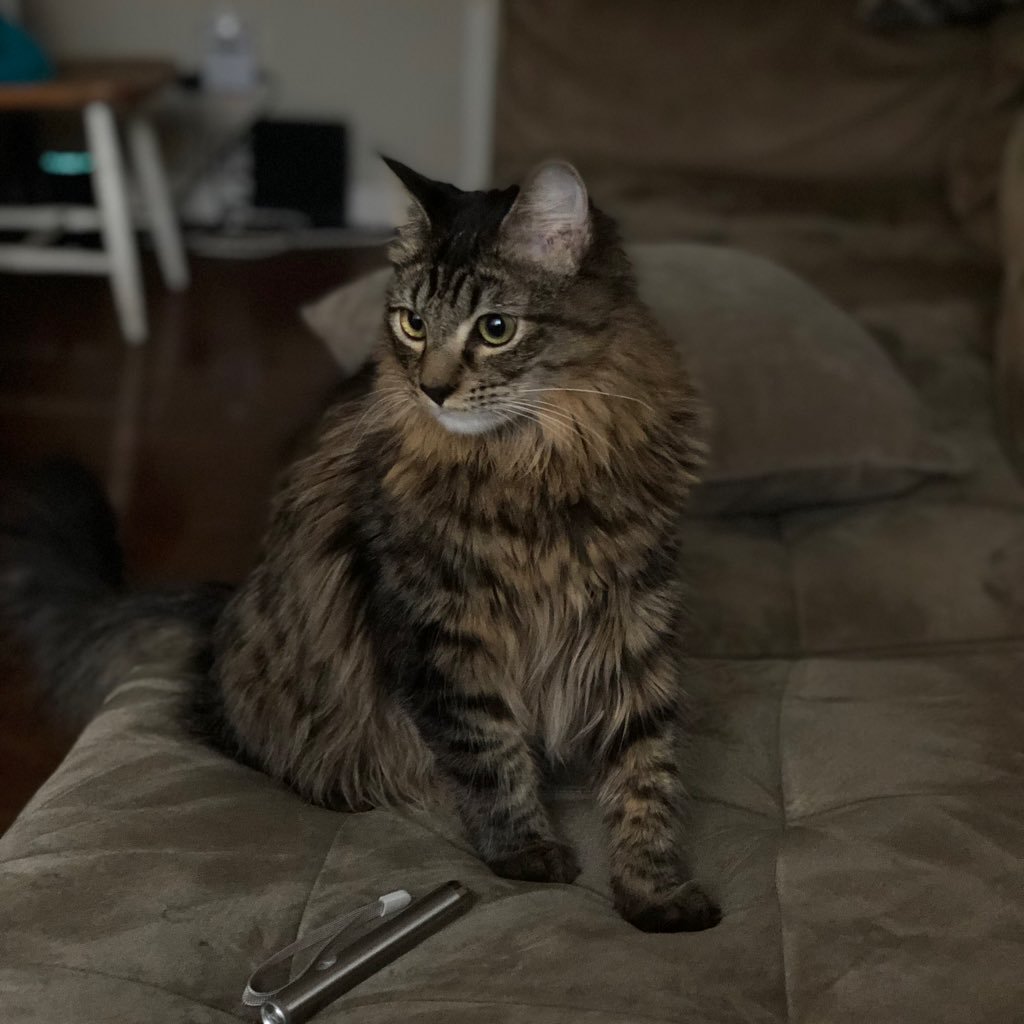 Dance2point0's profile picture. 