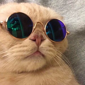 O1CODEparty's profile picture. [✪] ɴãᴏ é só ᴜᴍᴀ ғᴇsᴛᴀ. ᴀ ᴄᴀᴅᴀ 20 ᴅɪᴀs ᴜᴍᴀ ɴᴏᴠᴀ ᴇᴅɪçãᴏ ᴅᴇssᴀ ғᴇsᴛᴀ ǫᴜᴇ é ʙᴏᴀ ᴘʀᴀ ᴄᴀʀᴀ...ᴄᴀ. 🗯 promoters: @judgxngamy @heylilmonster @erikgawj || #rpbr