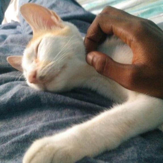 mokaba90's profile picture. Développeur web et mobile. Vous aides à trouver les meilleurs solutions pour vos entreprises.