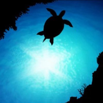 EDM39453178's profile picture. 気軽にフォローしてください。今年二十歳です。EDM.K-POP大好きです。無言フォロー失礼します