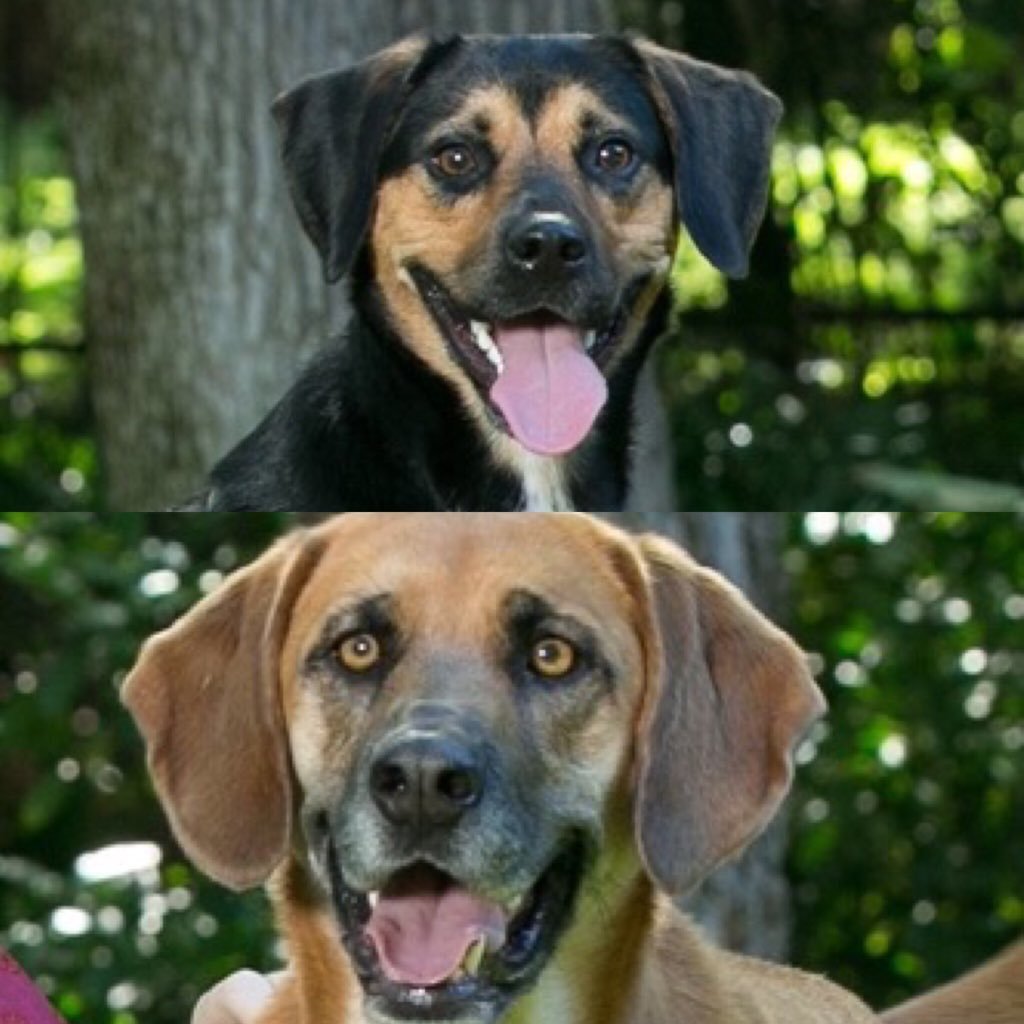 kebryan03's profile picture. Christian, Wife, Mom, Daughter, Aggie Romans 8:38-39