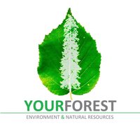 yourforestpodcast(@yourforestpdcst) 's Twitter Profile Photo