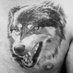 Lutz (@intruder60) Twitter profile photo Lutz (@intruder60) Twitter profile photo