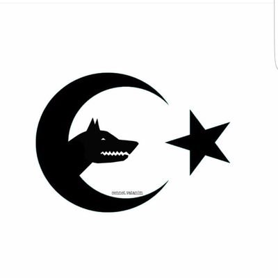 Vur şanlı silahınla gönül mülkü düzelsin; Sen öldürüyorken de vururken de güzelsin! 🇹🇷🇹🇷