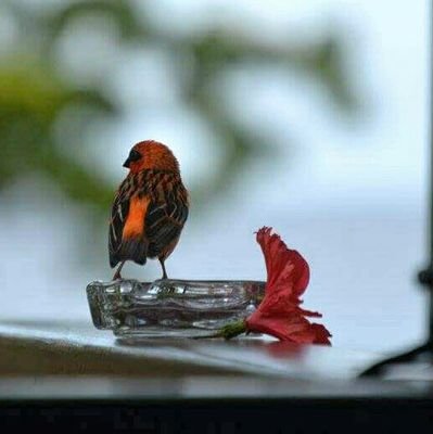 JsteenC's profile picture. https://t.co/DZGs387xIO. 
Crypto is in my blood.💫⛵