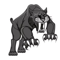 STMS Cheer (@sabercatcheer) 's Twitter Profile