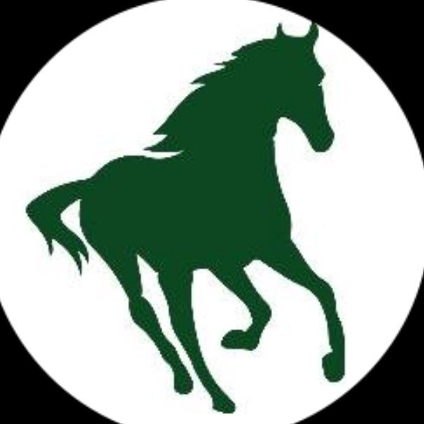 sville2021's profile picture. Official Twitter page for the Strongsville High School Class of 2021 // Go Stangs!🐎