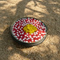 Angela Daddow (@a_daddow) 's Twitter Profile