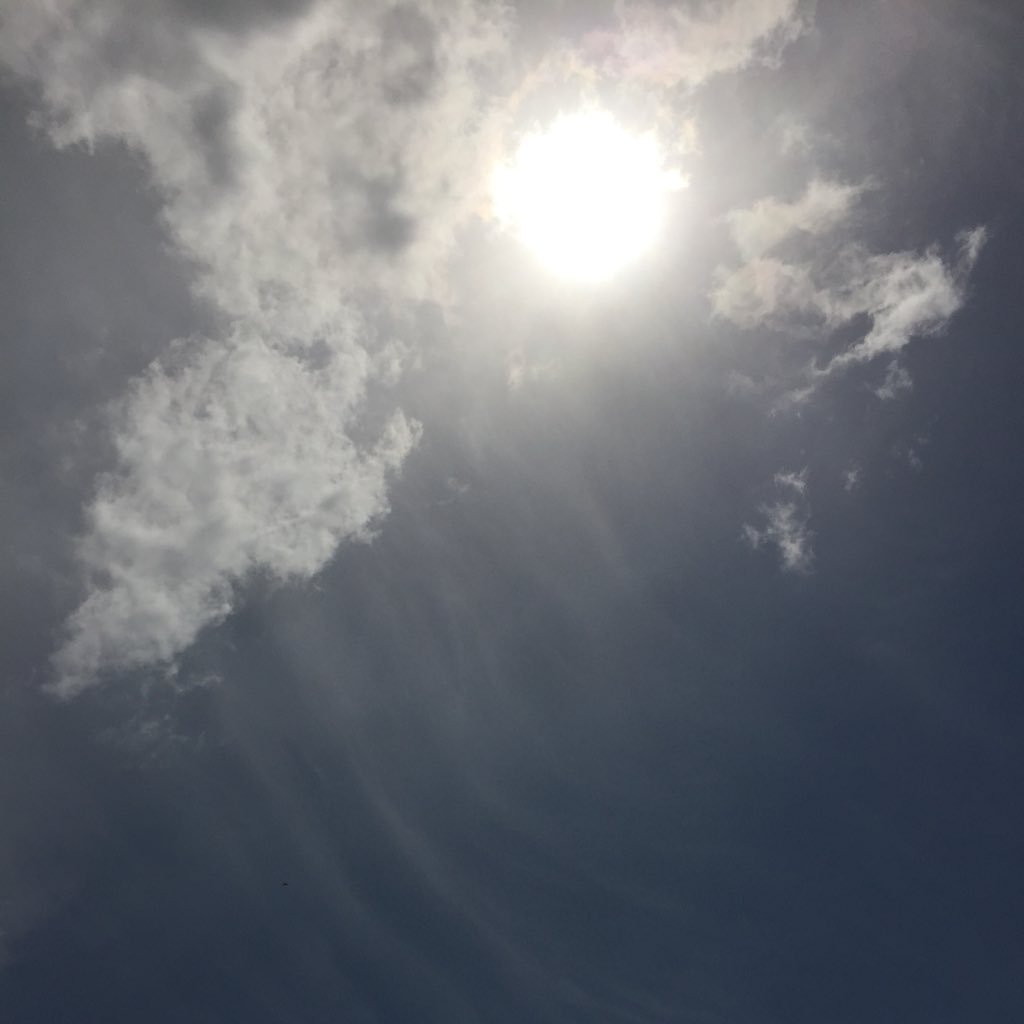 JustFeX5's profile picture. 