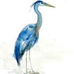 River_Heron Profile Picture