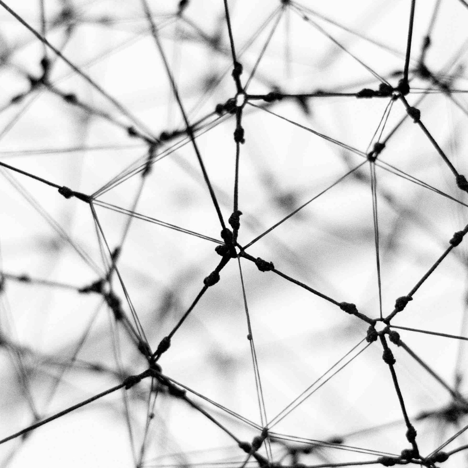 MathPodNL's profile picture. Learning math together in NL.                         

Background photo by Lucas Gallone on Unsplash

Profile photo by Jason Leung on Unsplash