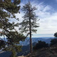 Ginger Greenberg (@gingergreenberg) 's Twitter Profile