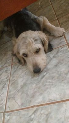Somente alguém que acredita em sua graça meu senhor meu Deus .