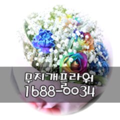 무지개플라워 전화 : 1688-0034 경조사화환/화분/꽃다발/동서양란등 특가판매 토,일요일 예약배송 주문 부터 배송까지 전국 어디든지 2~3시간 . 세금계산서가능
#맞팔
#축하화환 #근조화환 #동양란 #서양란 #개업 #결혼식 #장례식 #승진
#전근 #돌잔치 #꽃배달