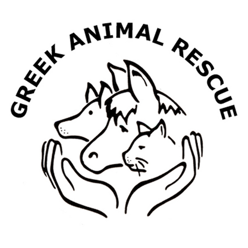 Greek Animal Rescue (GAR) is a small UK based volunteer run charity (No:802243) founded in 1989 in order to alleviate the suffering of animals in Greece.