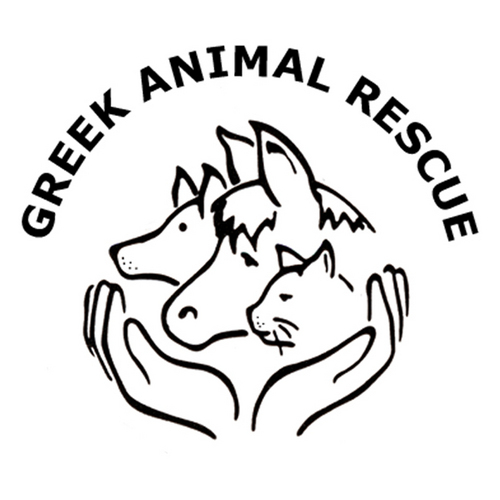 Greek Animal Rescue (GAR) is a UK based charity (No:802243)
Founded in 1989 in order to alleviate the suffering of animals in Greece.