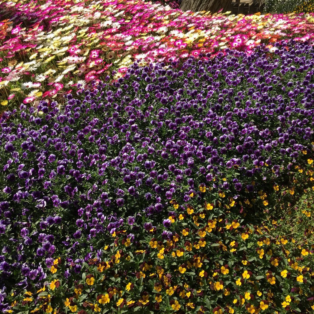 n_nzmn's profile picture. 