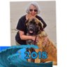 MargiNowak's profile picture. Polish-American cultural anthropologist from the Pacific Northwest; loves dogs, (especially Leonbergers and Chinooks), cats, and democracy!