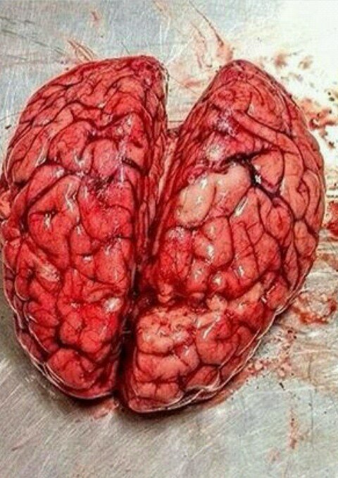 RossCasalber's profile picture. SIGO LUCHANDO POR MIS SUEÑOS ♡♡♡♡