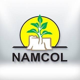 NAMCOL is a State Owned  created by an Act of Parliament (Act 1 of 1997) to provide learning opportunities for adults and out-of-school youth.