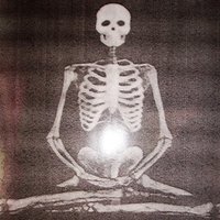 Mystification Zine (@grizzly_butts) 's Twitter Profile