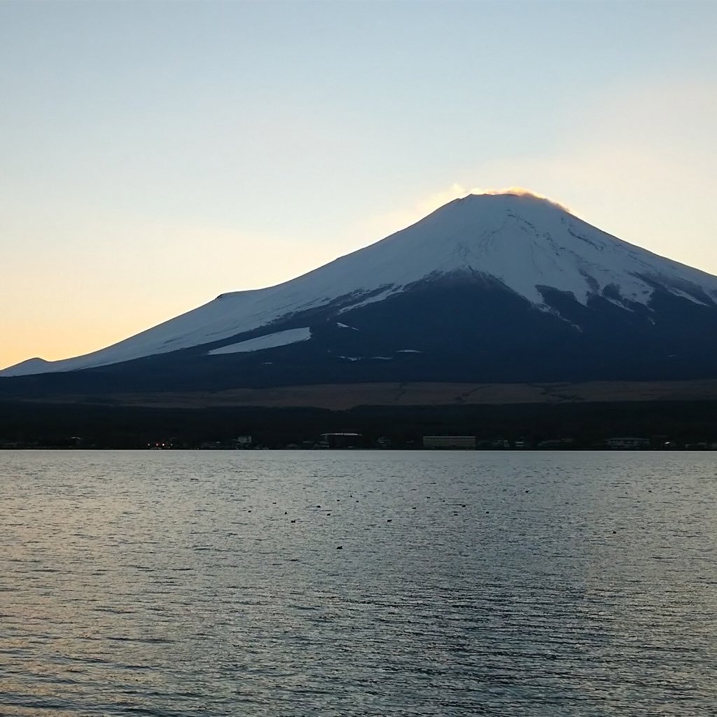 初めてですがよろしくお願い致します(*^^*)