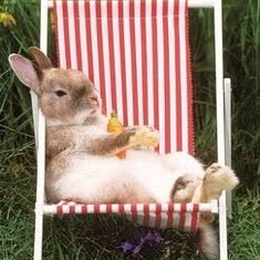 samanth93291447's profile picture. I like nice things, nice people, nice nature. Yes; send all your nice to me ... ☮️💗🌈🕊💗🌿💗☮️