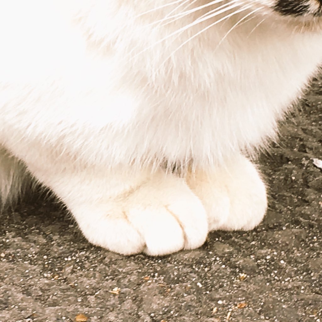 hachi_kob's profile picture. 九州から南下して沖縄で生活しています。好き👉夕日🏝/星空🌌/読書📖/図書館📚/さんぽ🚶‍♀️。