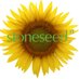 Stoneseed (@stoneseed) Twitter profile photo