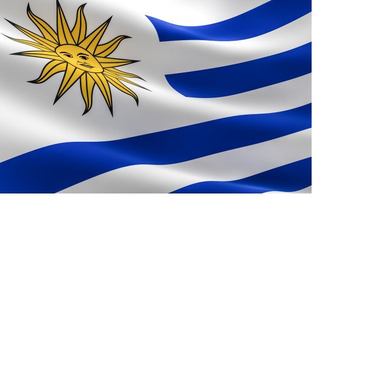 Lucia34697480's profile picture. 