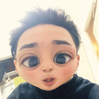 たいが