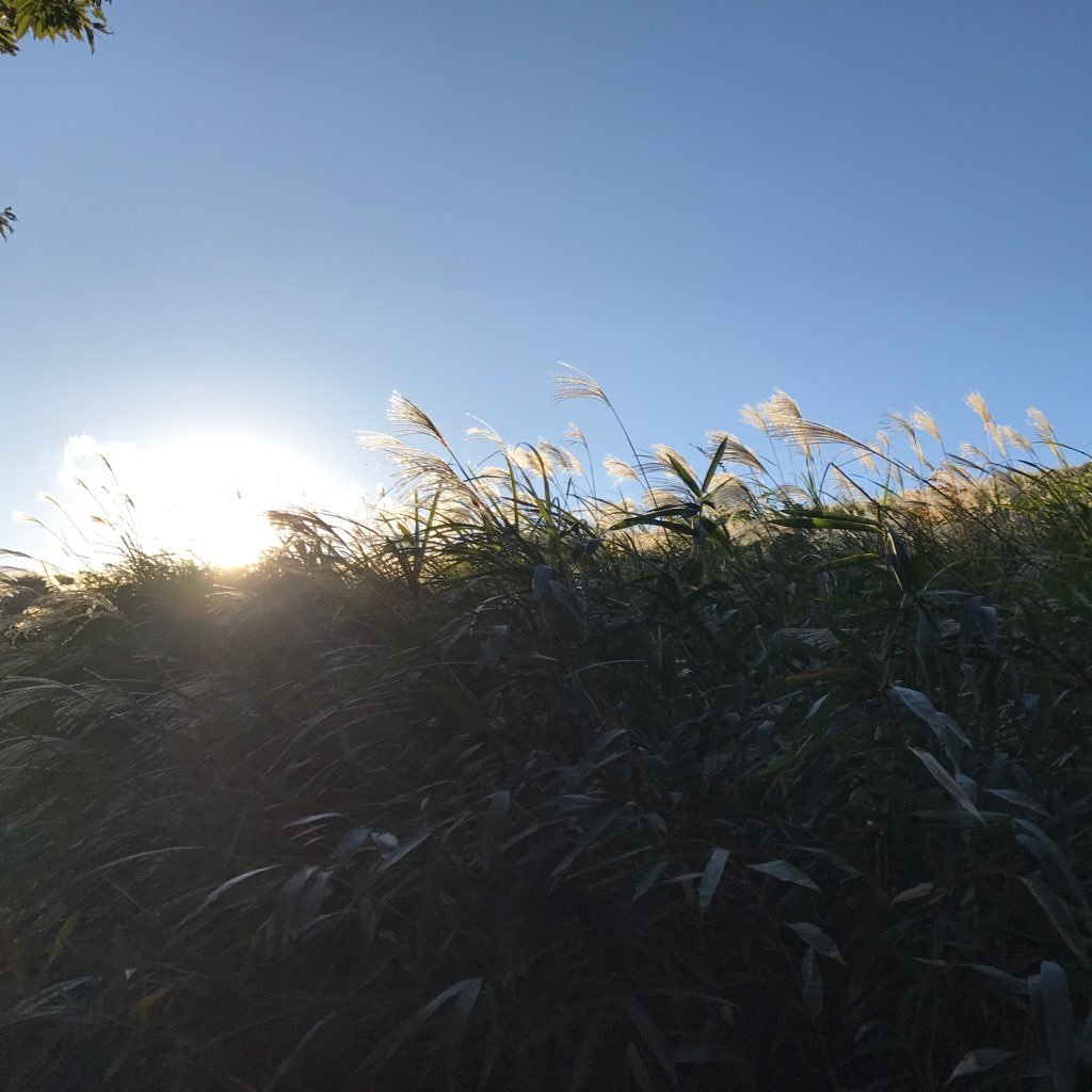 IYjbkg's profile picture. 