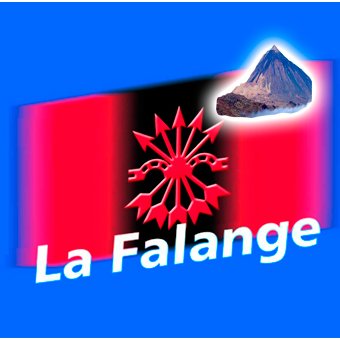 Twitter oficial de @lafalange Tenerife. Actualidad falangista en Tenerife. Historia y cultura de la isla. WhatsApp 📲655440852