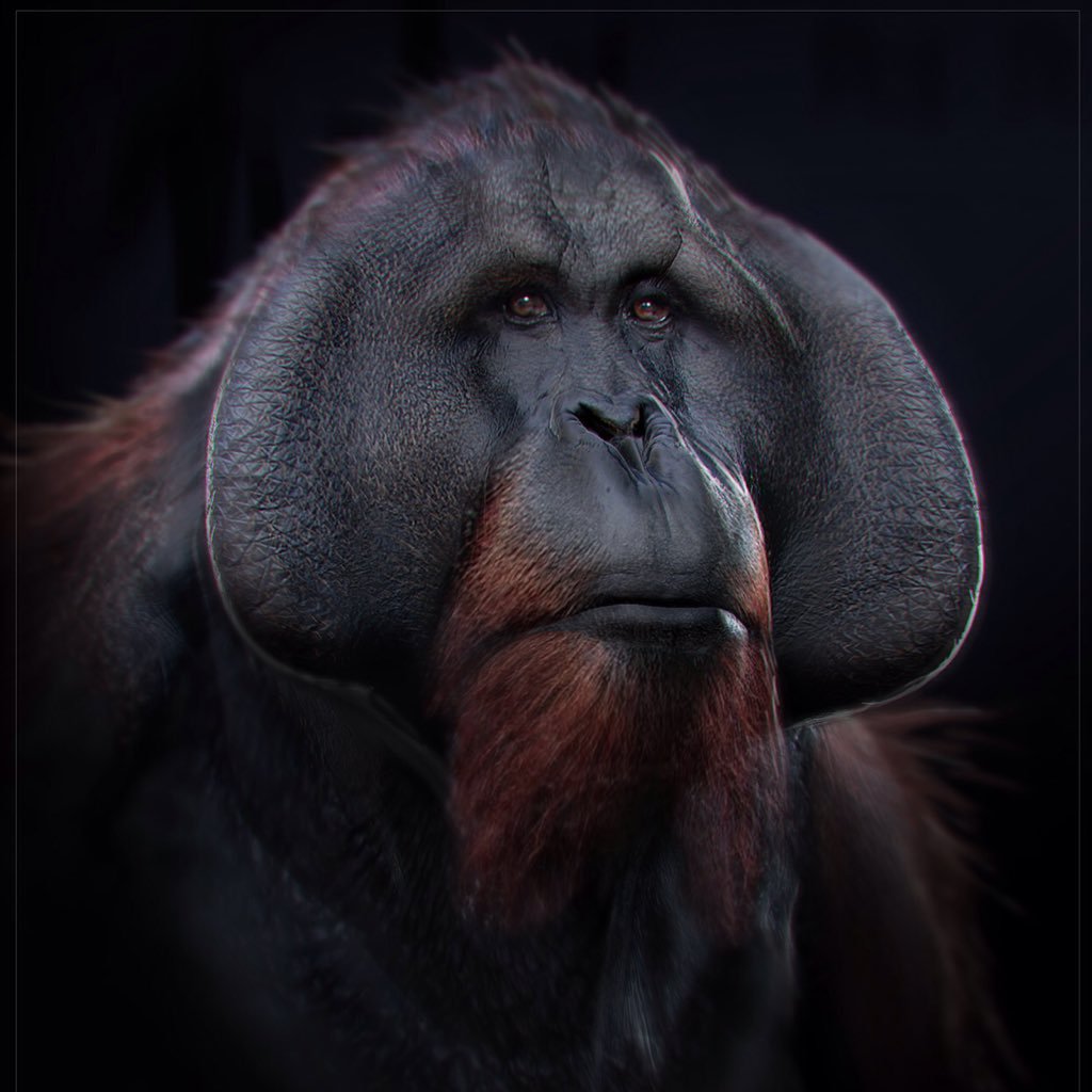 CassiusRiffer's profile picture. née une nuit de septembre