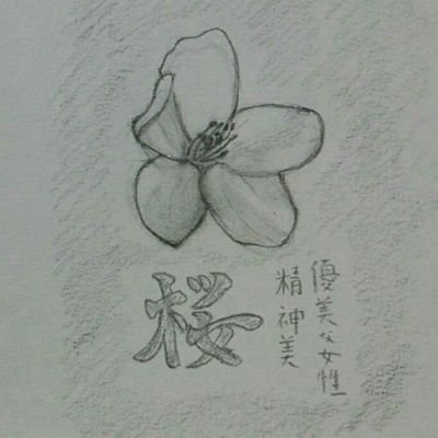 山桜 Twitter પર 1番好きな花 花言葉 桜 鉛筆画 山桜 Twitter પર 1番好きな花 花言葉 桜 鉛筆画