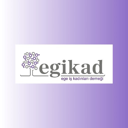 2008 yılında kurulan Derneğimiz, İzmir'in ve Ege Bölgesinin lider İş Kadını Derneğidir.