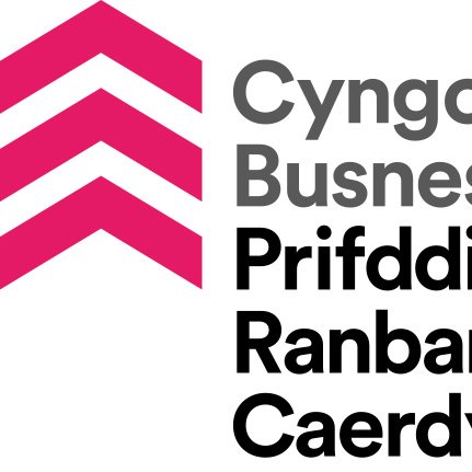 Business Council for the Cardiff Capital Region, representing Business across South East Wales
