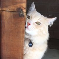 Alejandro Piscitelli (@piscitelli) 's Twitter Profile Photo Alejandro Piscitelli (@piscitelli) 's Twitter Profile Photo