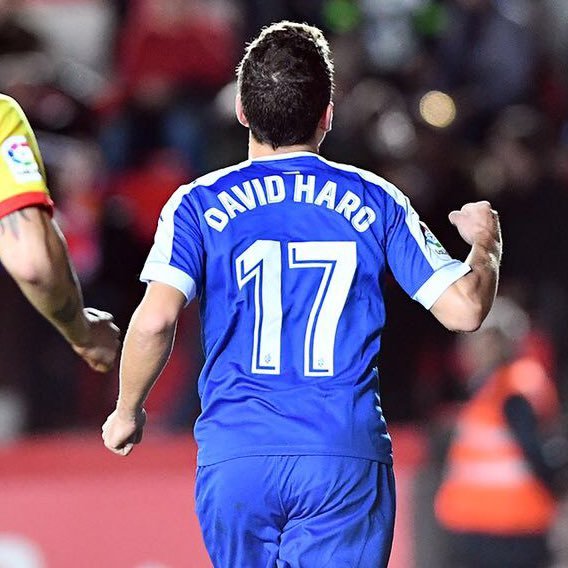 d_haro's profile picture. 