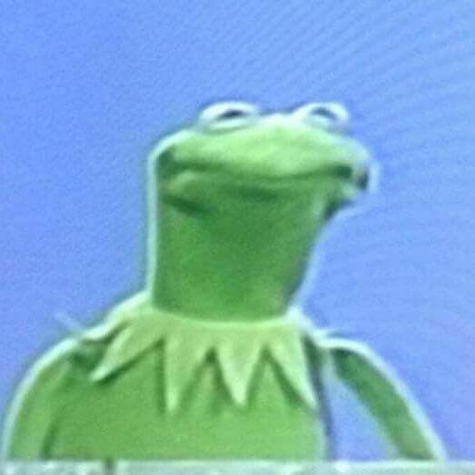 orraplics's profile picture. 🌻