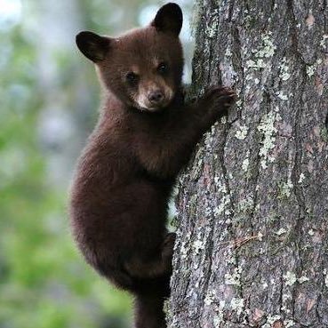 MC_DT_'s profile picture. 2018/1/9 progateでプログラミングの勉強を始めました。 勉強した事などを記録していきます。 プログラミング勉強友達もできたらいいなーと思いますので気軽に声かけてくださいー。 note でブログ書いてます。 最近はpythonを勉強中。