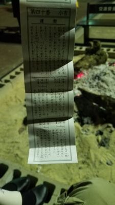 totetotecoin's profile picture. 19卒。『手段はコモディティ化する』を意識して生きてます