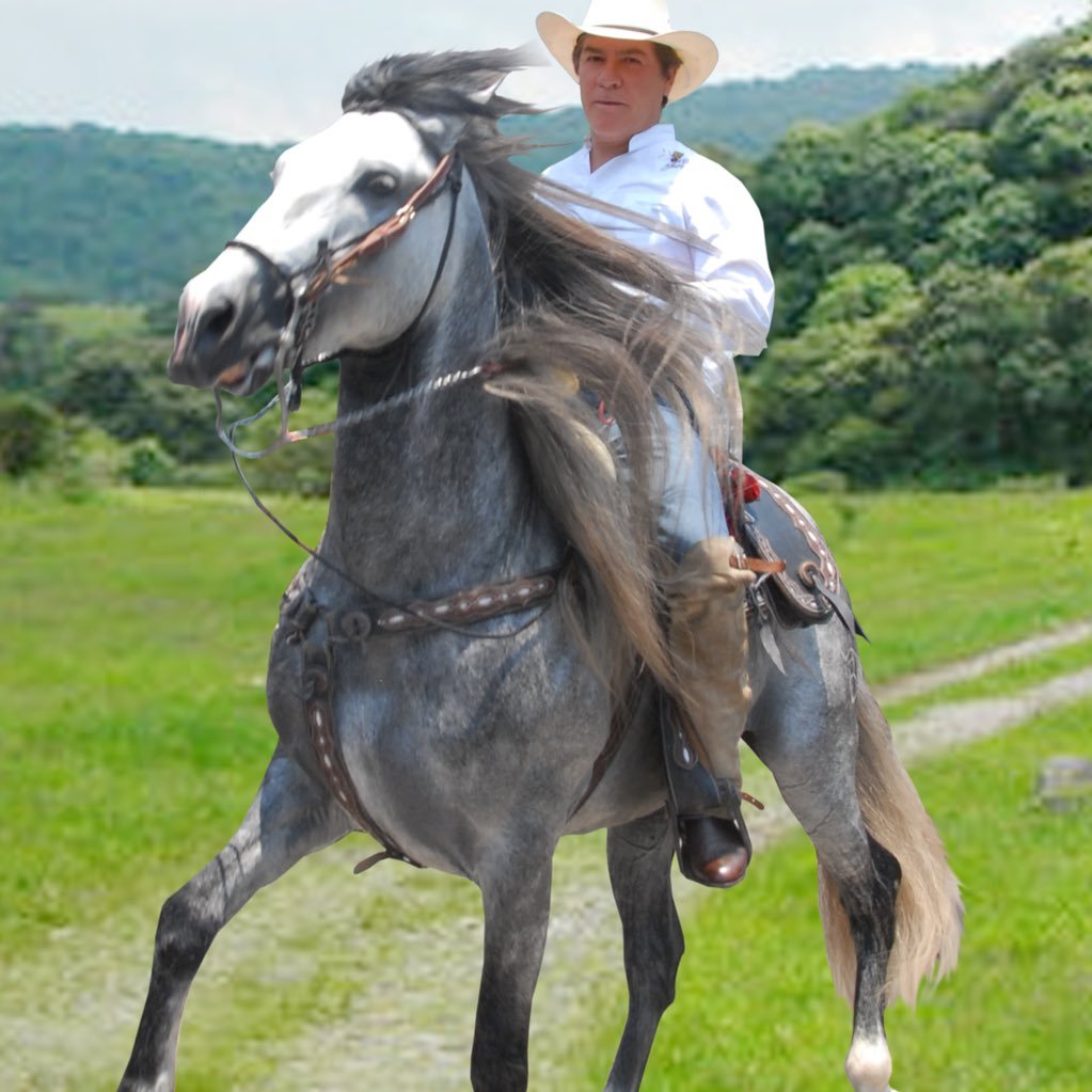 Colimense, académico y barista. Medio piquete pa' la pesca, pa'l caballo y pa' la moto