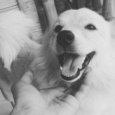 KentBaruc1's profile picture. Moderate is a by-product of contemplation.