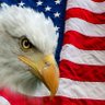 deemat727's profile picture. Florida grown, small business owner.   ❤️🇺🇸 #MAGA