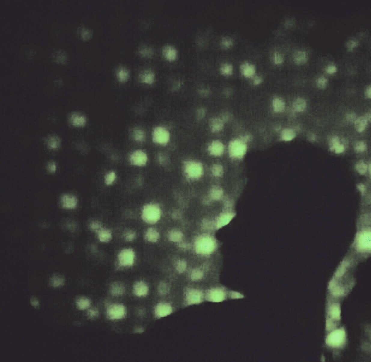 capuleto1985's profile picture. HATER